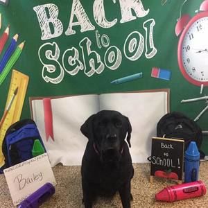 Meet your Posher, Heather